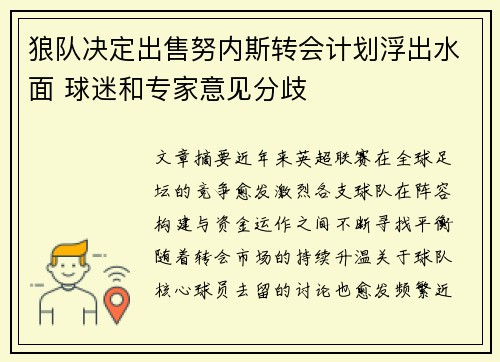 狼队决定出售努内斯转会计划浮出水面 球迷和专家意见分歧